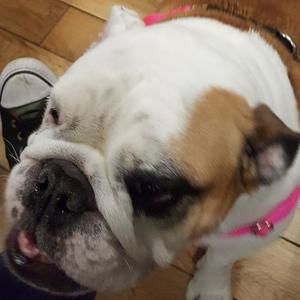 Meet your Posher, Bradley